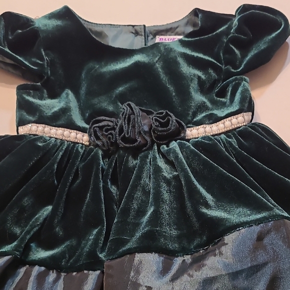 Blueberi Boulevard Deep Green Velvet Dress NWT RV $70 12 Months - Picture 8 of 10
